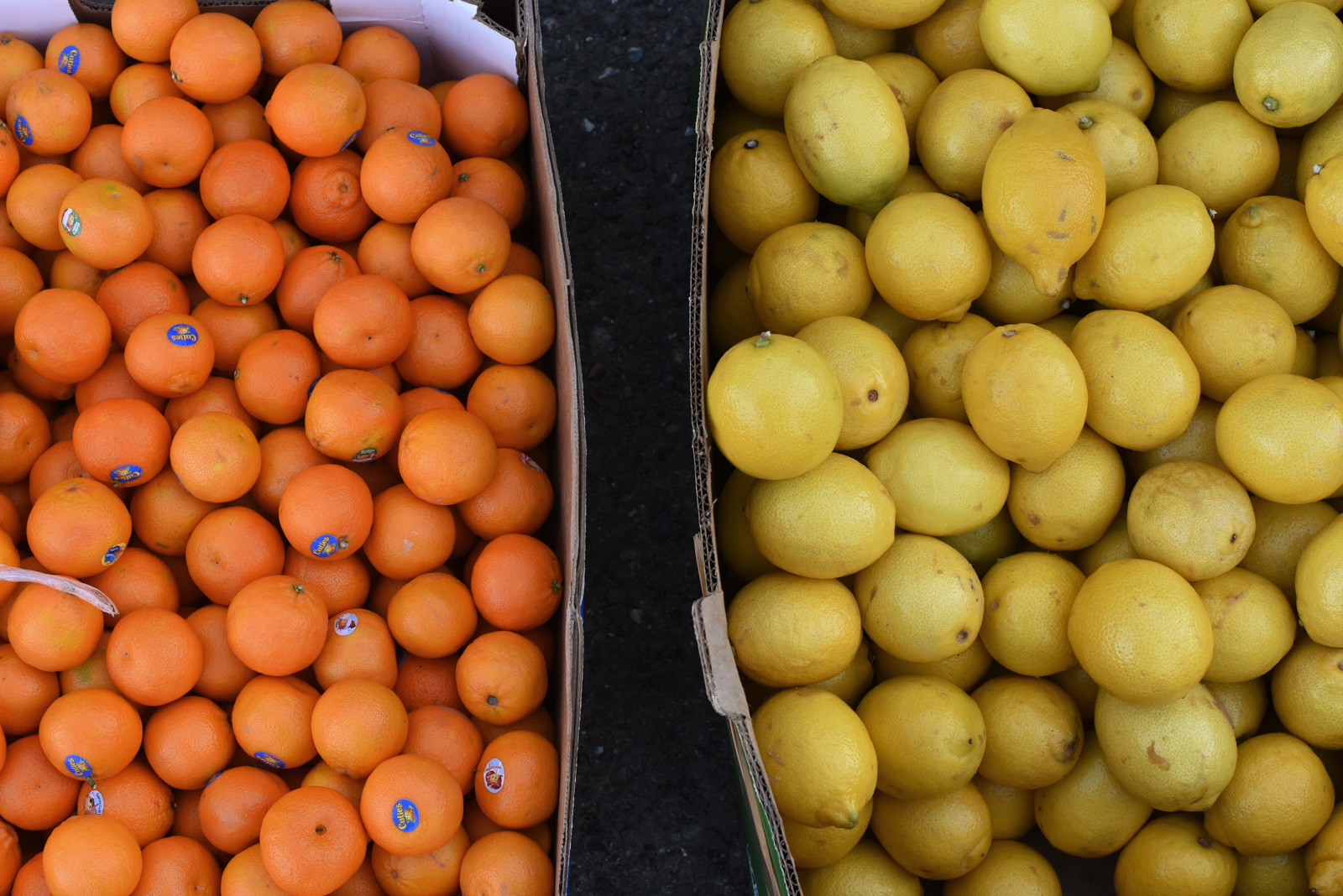 Mandarins and lemons in boxes.