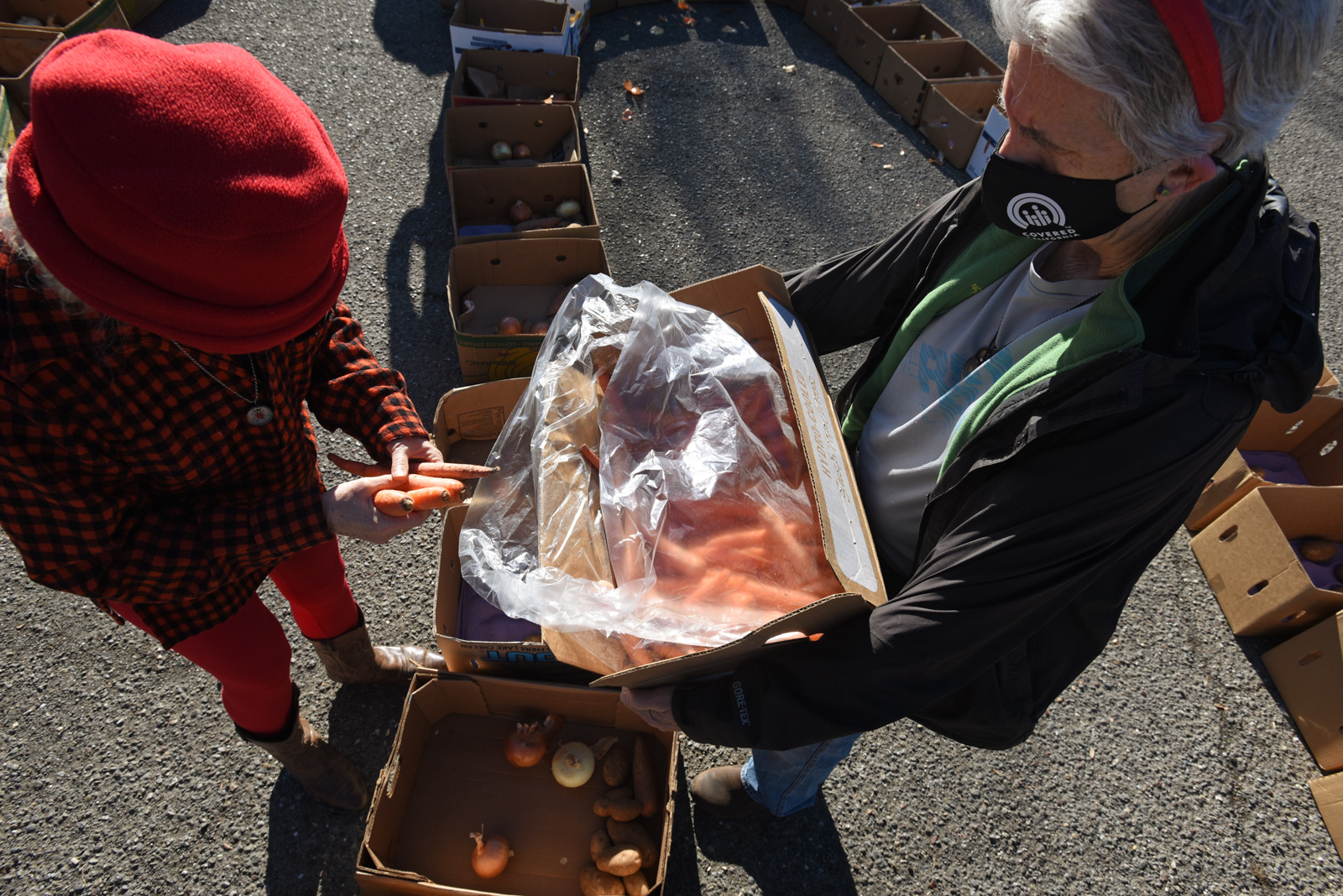A man holding a box full of carrots to be distributed by California Homemakers Association.