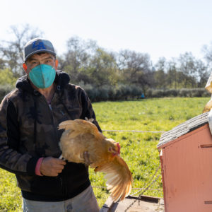 A man standing next to a chicken coop while carrying a chicken in his hand.