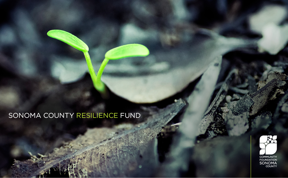 Resilience Fund Grants Announcement