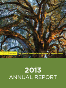 CFCS Annual Report 2013
