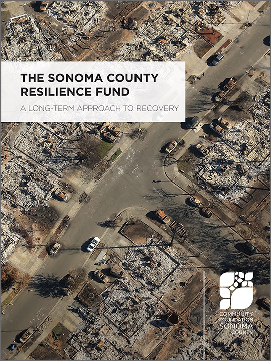 2017-Resilience-Fund-report-cover