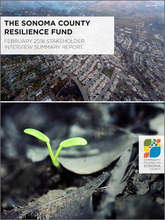 2017-Resilience-Fund-report-cover