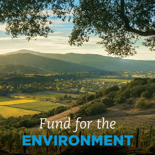Fund for The Environment