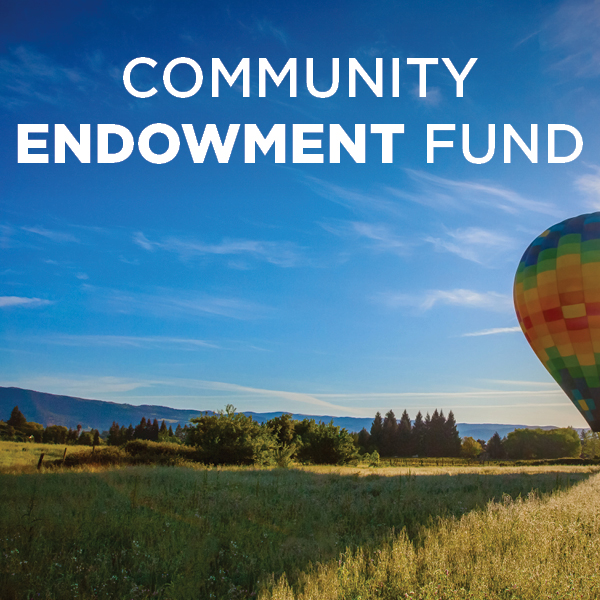 Community Endowment Fund