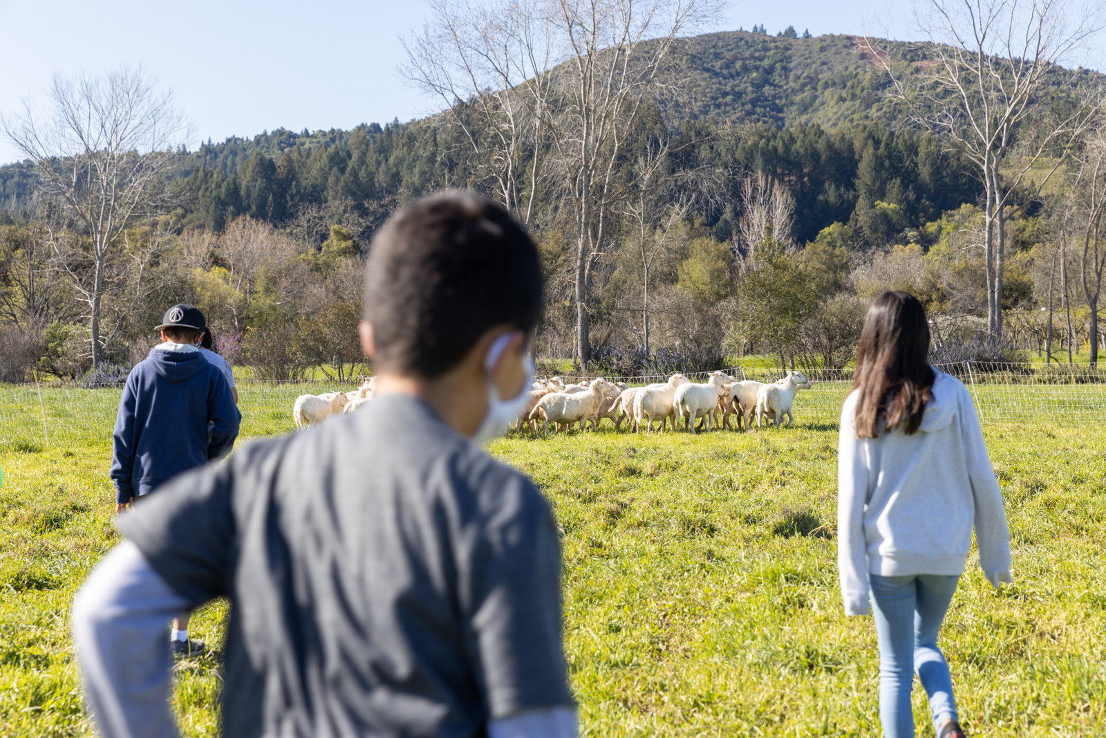 Kids on a farm admiring a herd of sheep from afar.