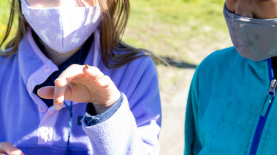 A young girl holding a ladybug on her finger while another young girl curiously looks at the bug.