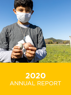 A boy on a farm wearing a white mask holding a chicken egg in each hand. Text: 2020 Annual Report