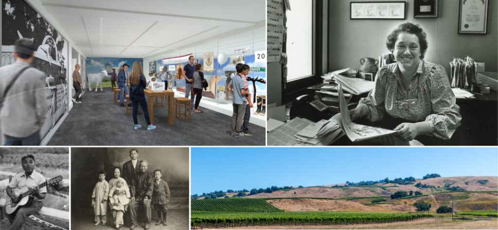 A collage showcasing the Sonoma Stories exhibit from the Museum of Sonoma County.