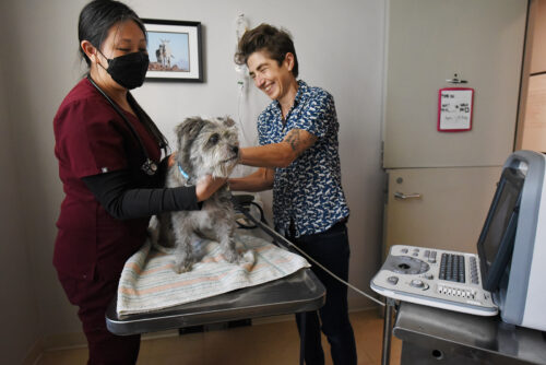Dr. Ada Norris, right, and Maureen Koo performing an ultrasound on a dog for a client at the Community Veterinary Clinic at Humane Society of Sonoma County in Santa Rosa, Calif., Nov. 3, 2022. Photo by: Erik Castro